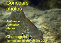 Affiche Concours Chamagnieu 2014WW