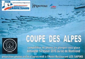 Affiche Coupe des Alpes 2016 site